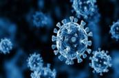 Health Ministry expert explains rise in gastrointestinal infections and prevention measures