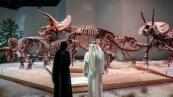 Natural History Museum Abu Dhabi kicks off immersive family workshops this May