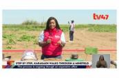 Kenya's TV47 shows demining process in Aghdam 