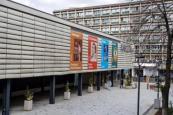 Van Gogh exhibition comes to Art Safari Bucharest in May 2026