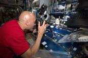 Microbes extract metals from meteorites in space experiment