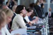 Georgian FM accuses Europe of double standards in Council of Europe speech
