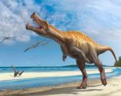 Germany to return rare Irritator dinosaur skull to Brazil
