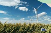 How AI and smarter cloud solutions can solve Europe's climate problems
