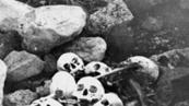 Skeletons of four Franklin expedition sailors identified through DNA analysis