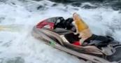 Dog goes viral for jet skiing while owner hoverboards -  VIDEO 