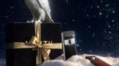 Why rich people often avoid flashy luxury brands?