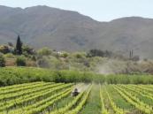Hormuz disruptions threaten Africa’s food supply