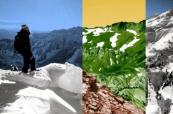 Mountains are becoming too hot