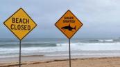 Man dies after shark attack off Australia's north-east coast