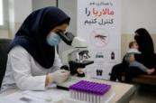 Iran reports sharp fall in malaria cases, says elimination close 