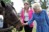 Queen Camilla concludes US State Visit with a stop at Virginia Horse Farm -  VIDEO 
