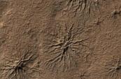 Curiosity rover captures strange spiderweb-like formations on Mars