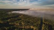 300-hectare blaze prompts Poland to step up firefighting efforts