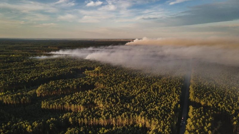 300-hectare blaze prompts Poland to step up firefighting efforts