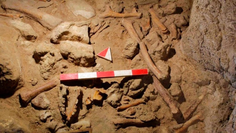 Neanderthal remains discovered in Taglar Cave undergoing analysis in Japan