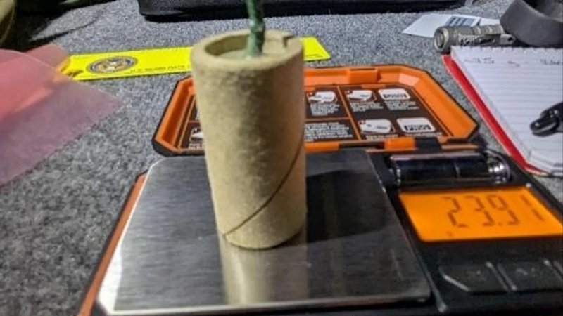 Man charged after bomb found in carry-on at California airport 