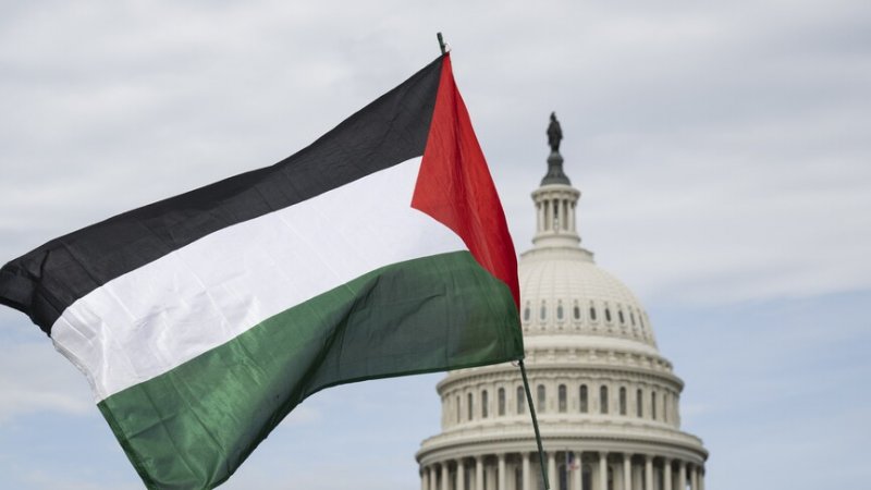 Campaign urges US senators to free Palestinian-American student 