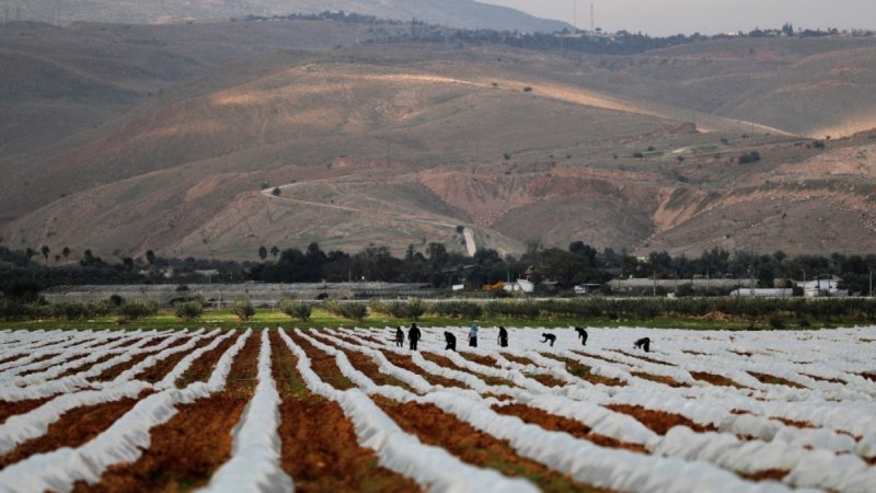 US Congress boosts Israel farm research amid Palestinian losses
