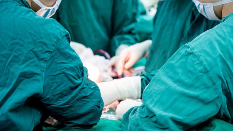 World first: Pig liver, kidneys transplanted into human in China