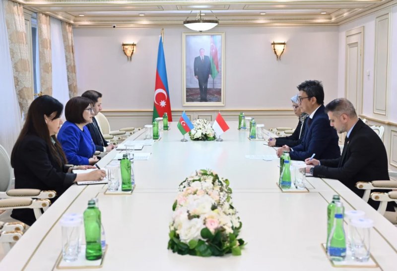 Azerbaijan and Indonesia discuss strengthening parliamentary ties