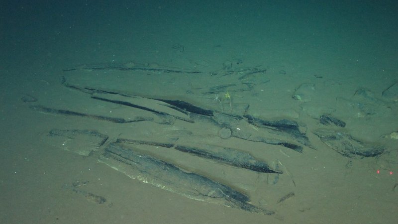 Scientists pinpoint whale “graveyards”