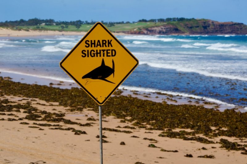Sydney tightens beach safety after weekend shark attack