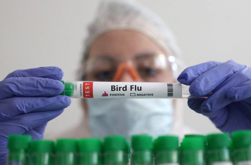 Australia detects its first suspected case of H5N1 bird flu