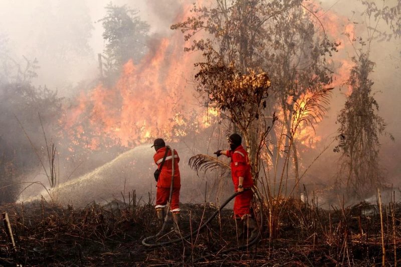 Indonesia’s Riau declares emergency alert over forest fires