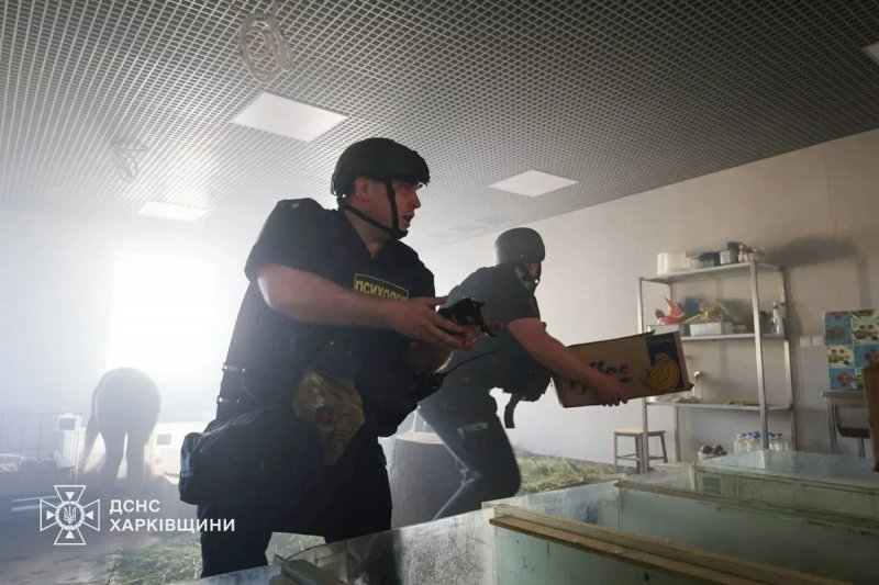 2026/06/1781543546.webp + Several animals killed in Russian attack on Kharkiv zoo - PHOTO News about - Several animals killed in Russian attack on Kharkiv zoo - PHOTO