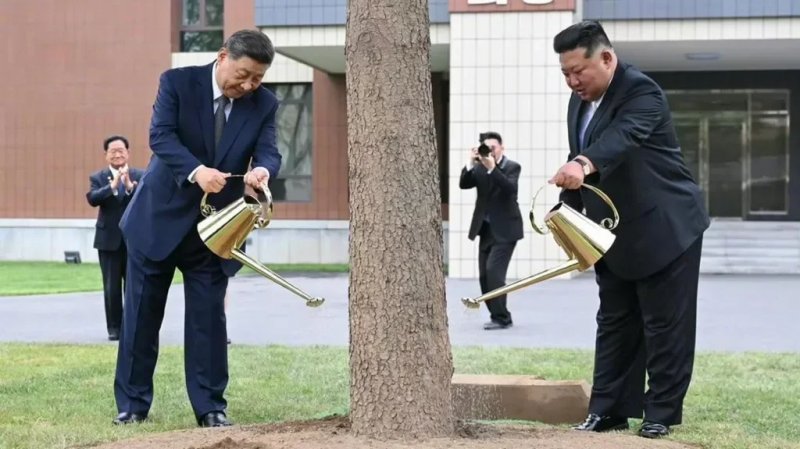 Xi Jinping and Kim Jong Un vow stronger ties as North Korea visit ends