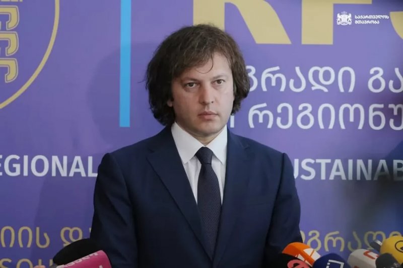 Georgian PM slams EU ‘double standards’ on democracy