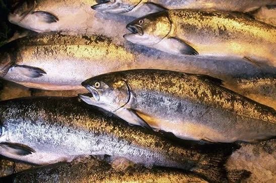 Russia increases fish imports from Iran and Turkey after Armenian supply cuts