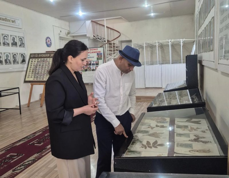 Tagore–Nizami Library to be established at Indian Embassy in Baku