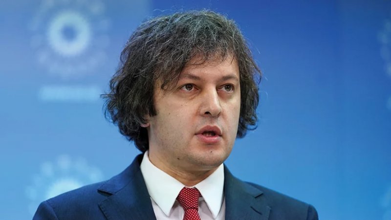 Georgian PM slams German ambassador over “unserious” remarks