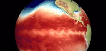 Forecasts from Copernicus suggest strong El Niño this summer