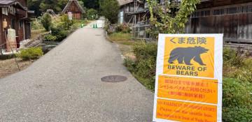 Four injured in bear attacks in northeast Japan