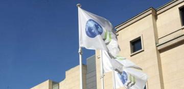 Global economy faces slowdown as OECD cuts growth forecast (Economics)