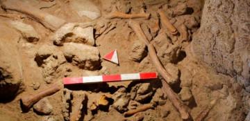 Neanderthal remains discovered in Taglar Cave undergoing analysis in Japan