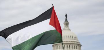 Campaign urges US senators to free Palestinian-American student 