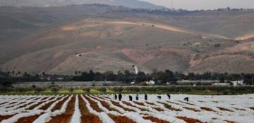 US Congress boosts Israel farm research amid Palestinian losses