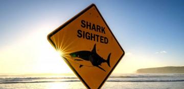 Man dies after shark attack off Western Australia coast