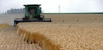 US farms squeezed by higher fuel costs amid Iran war (World)