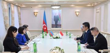 Azerbaijan and Indonesia discuss strengthening parliamentary ties