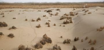 China warns of extreme flood risk in Xinjiang (World)