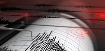 Magnitude 4.6 earthquake strikes Gaziantep in Türkiye