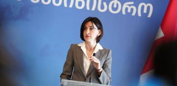 Georgia FM says European Parliament resolution based on “false narratives”