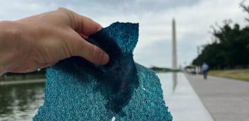 Blue paint is already peeling off Trump's $14M Lincoln Reflecting Pool