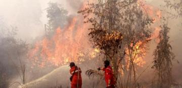 Indonesia’s Riau declares emergency alert over forest fires