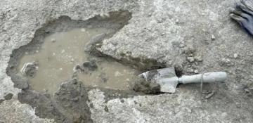 Dinosaur highway 'one of the longest in the world' 